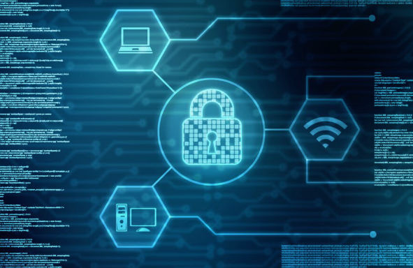 SmartDataSoft-servicii